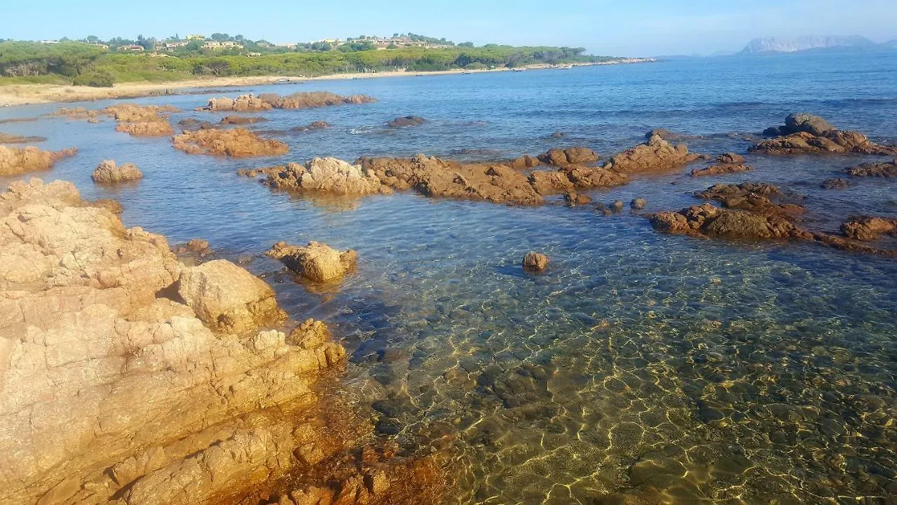 Casa vacanze Casa i Falchi Budoni Italia